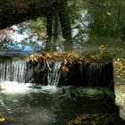 Der Herbst fällt ins Wasser