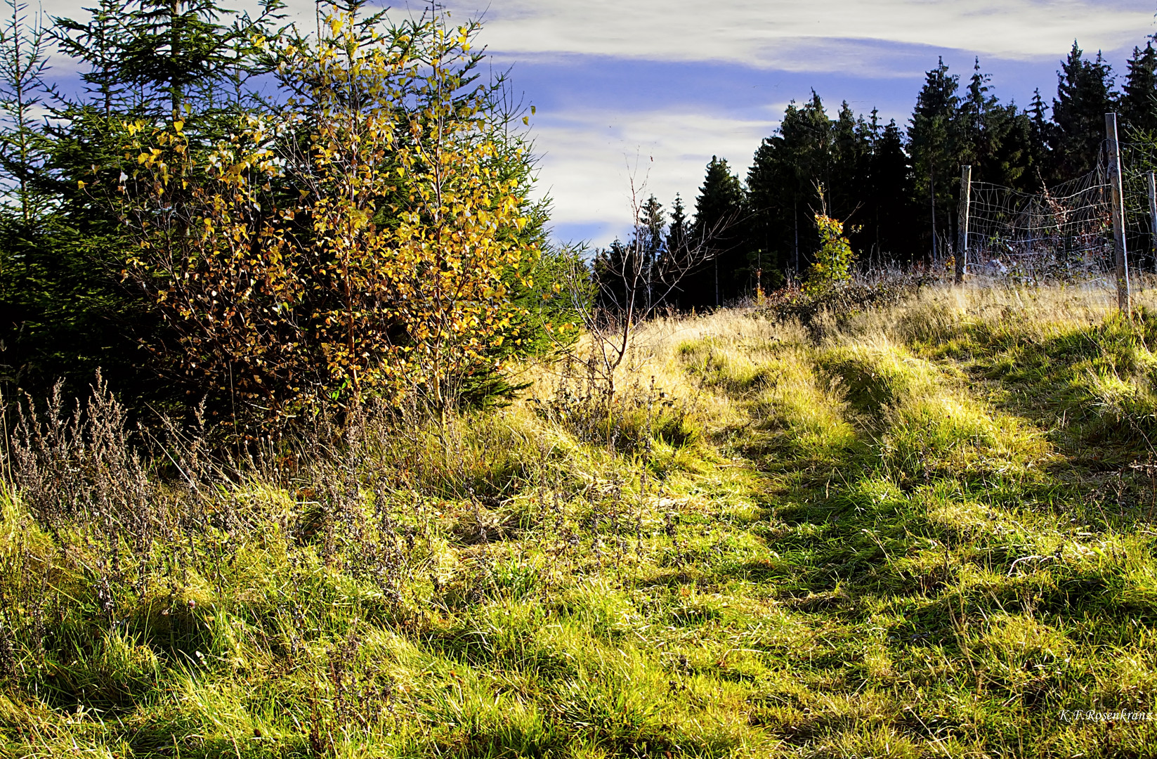 Der Herbst fängt an.....