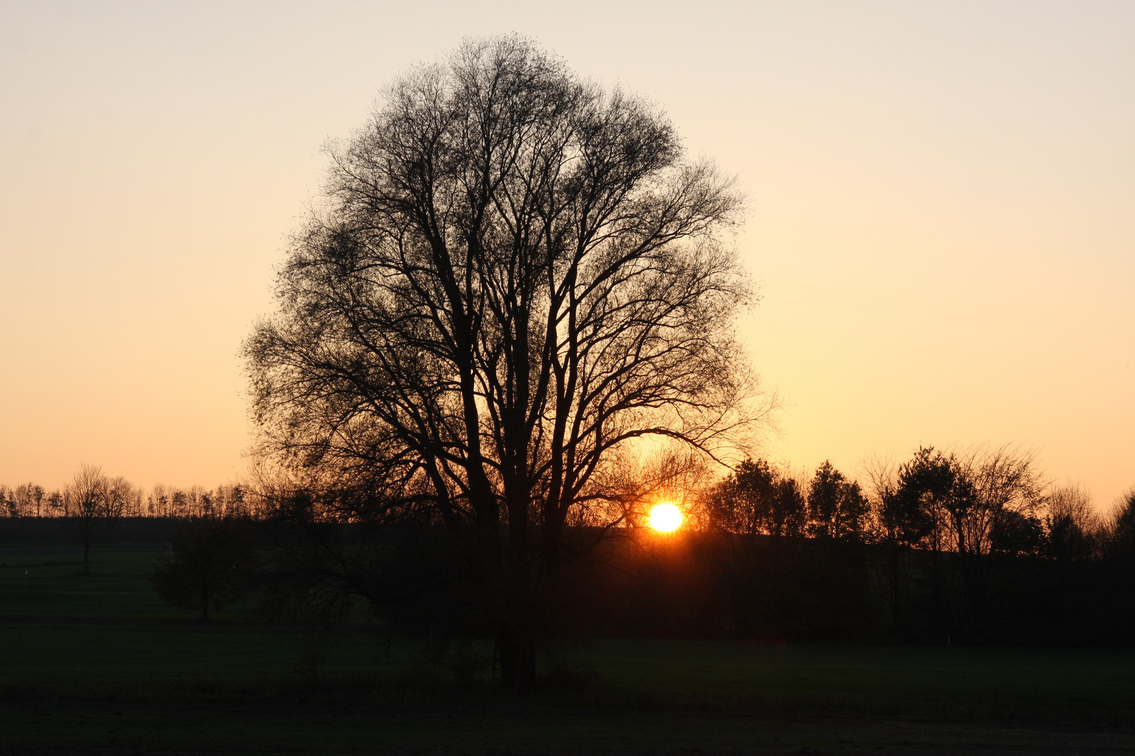 Der Herbst