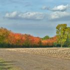 Der Herbst frontal