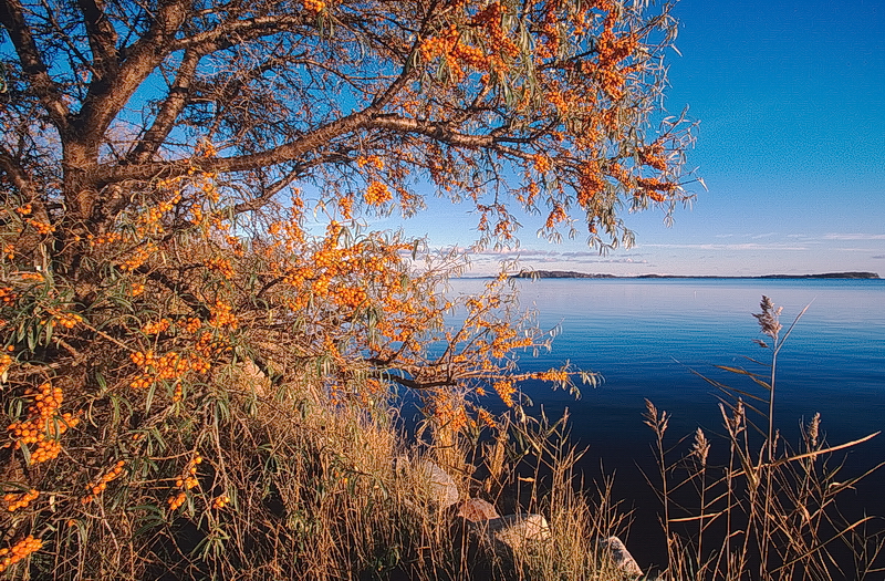 Der Herbst gehört auch an der Ostsee zu den fotogensten Jahreszeiten ...