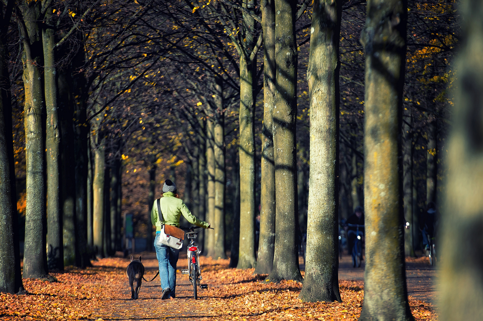 der Herbst geht....