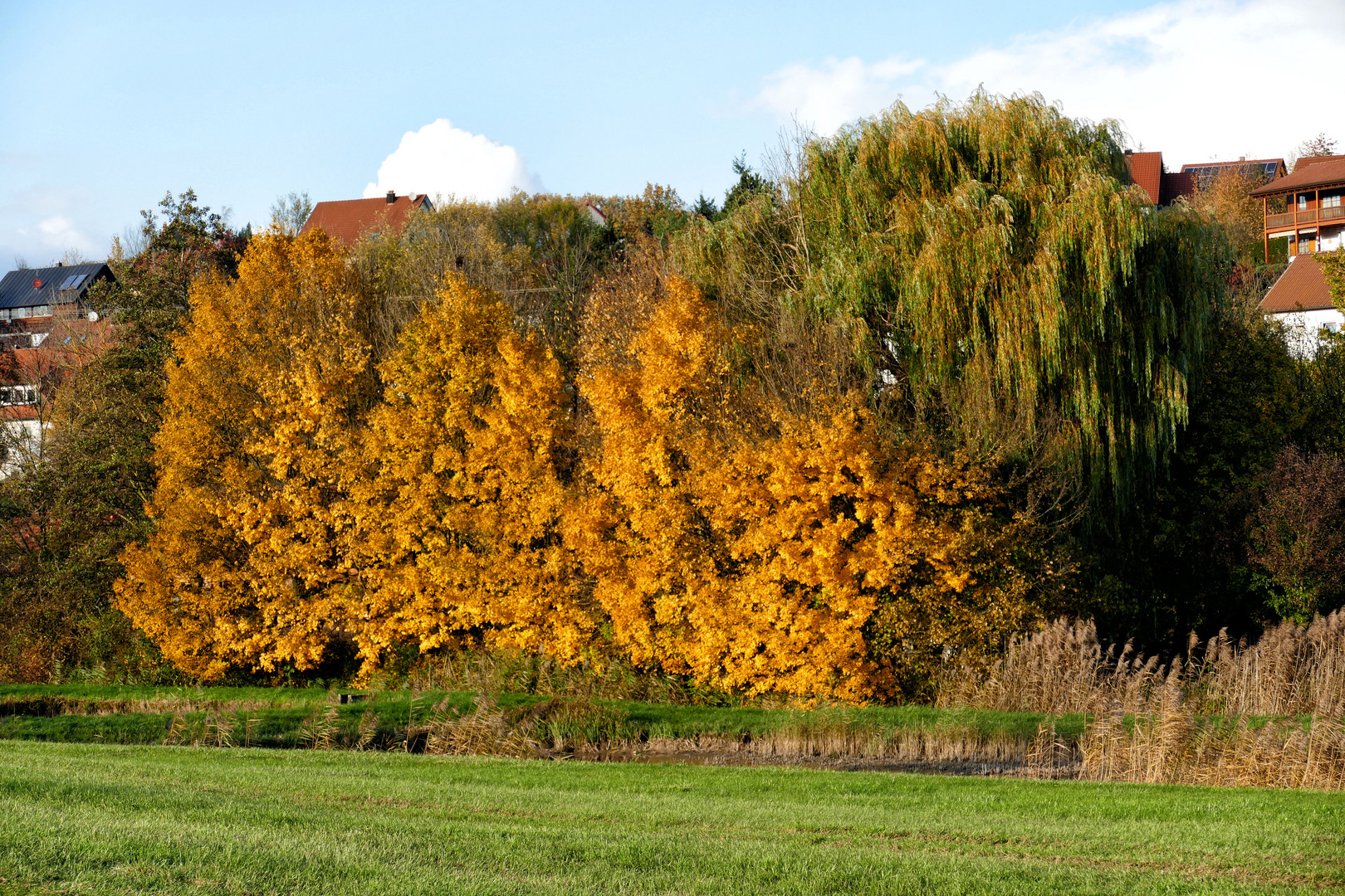 Der Herbst geht auch langsam zuende