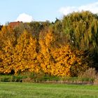 Der Herbst geht auch langsam zuende