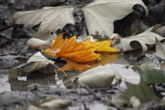 Der Herbst geht dem Ende entgegen