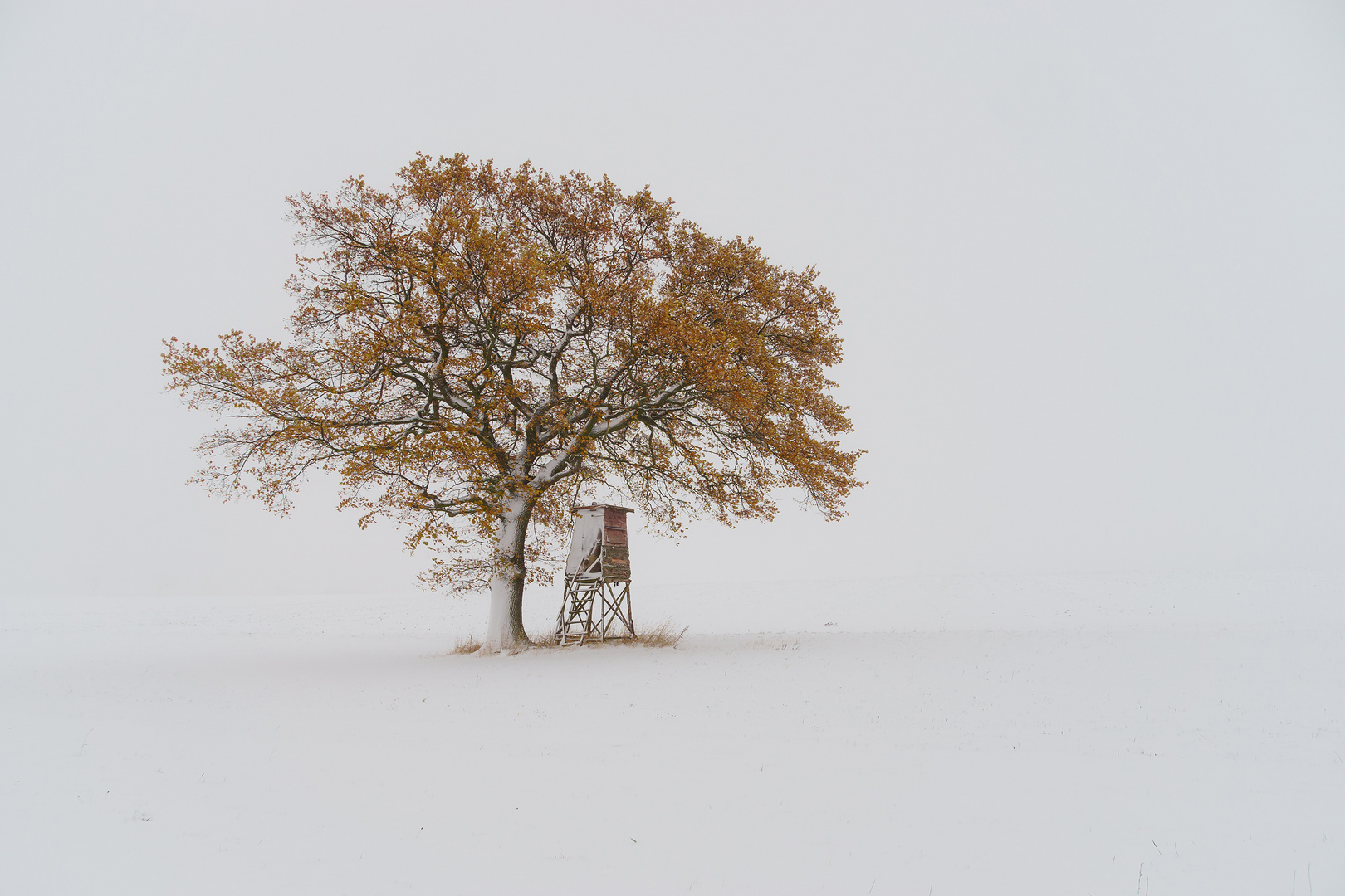 Der Herbst geht, der Winter kommt...