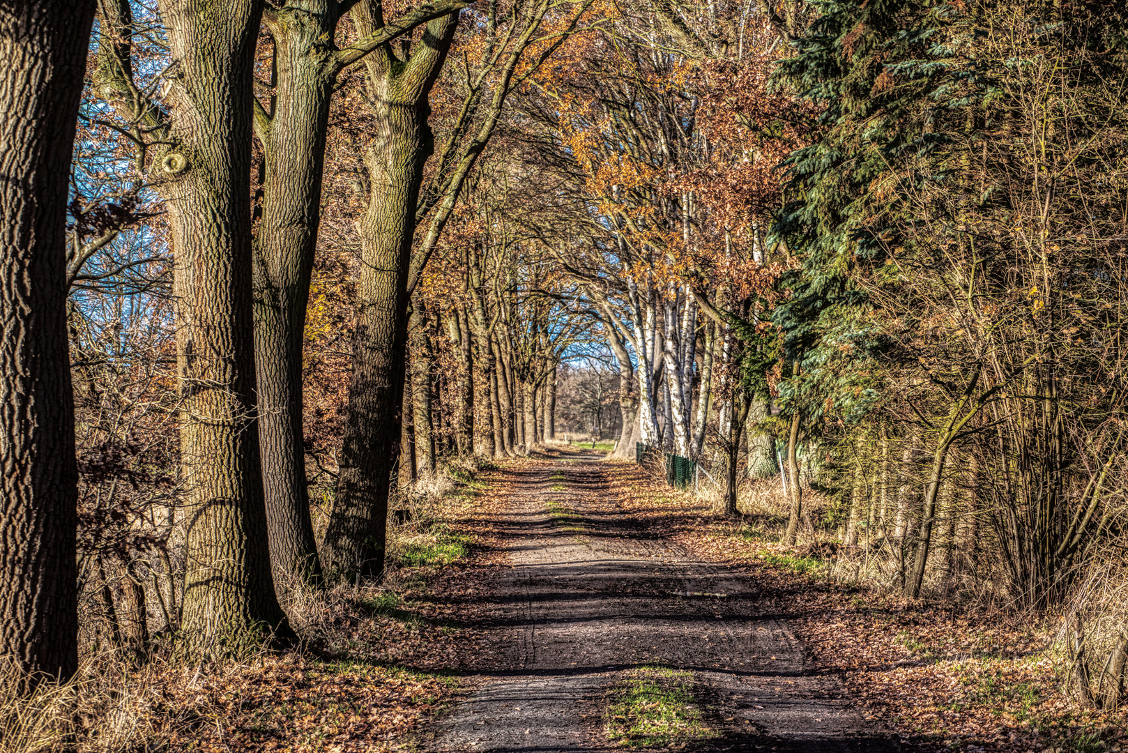 Der Herbst geht voran...