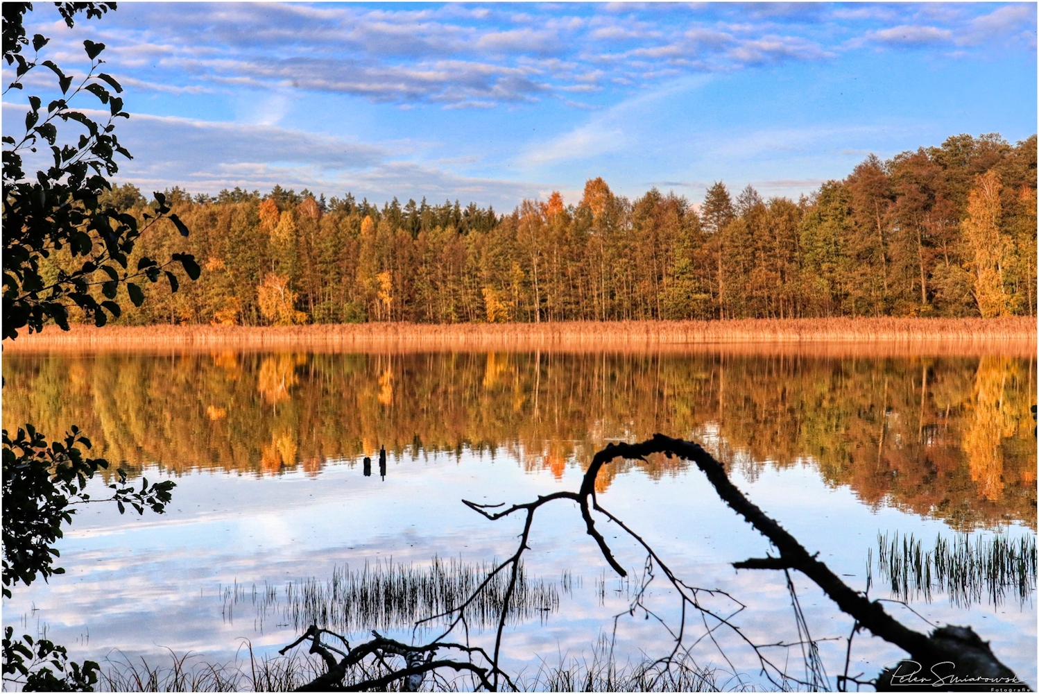 Der Herbst gespiegelt am Rekauersee.