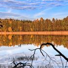 Der Herbst gespiegelt am Rekauersee.