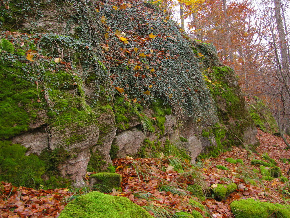 Der Herbst gibt die Felsen frei