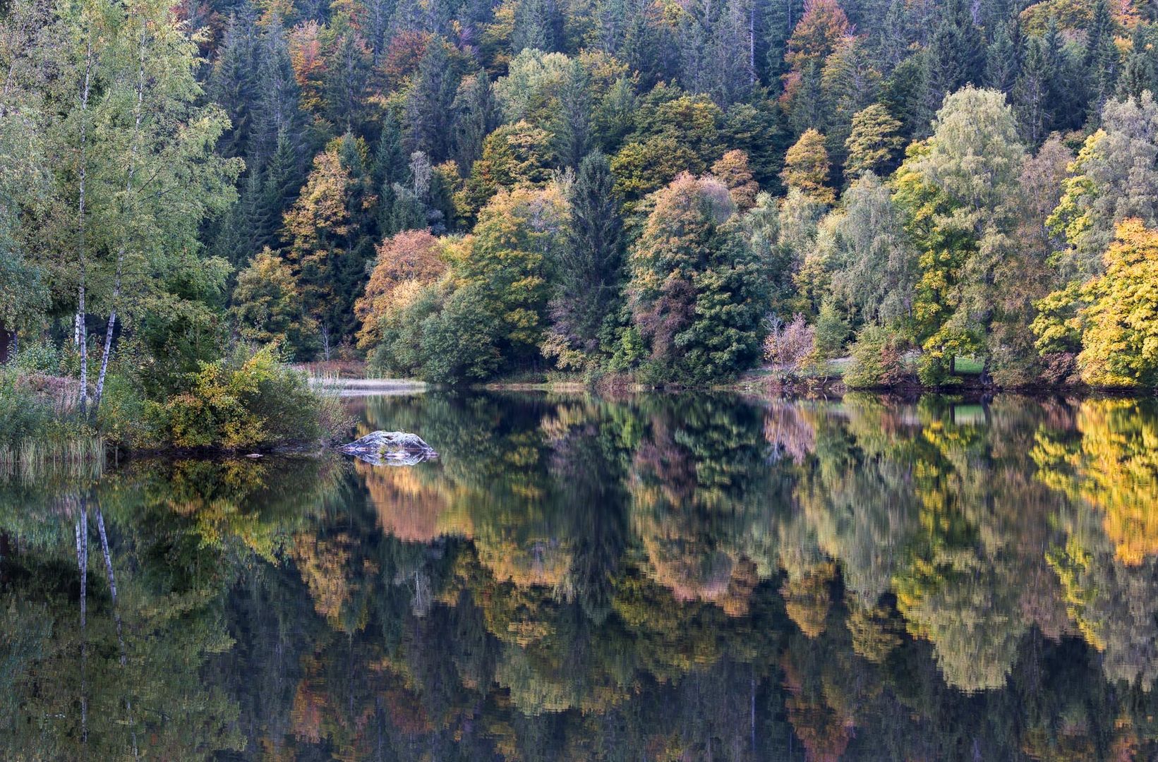 ~~ Der Herbst gibt Gas ~~