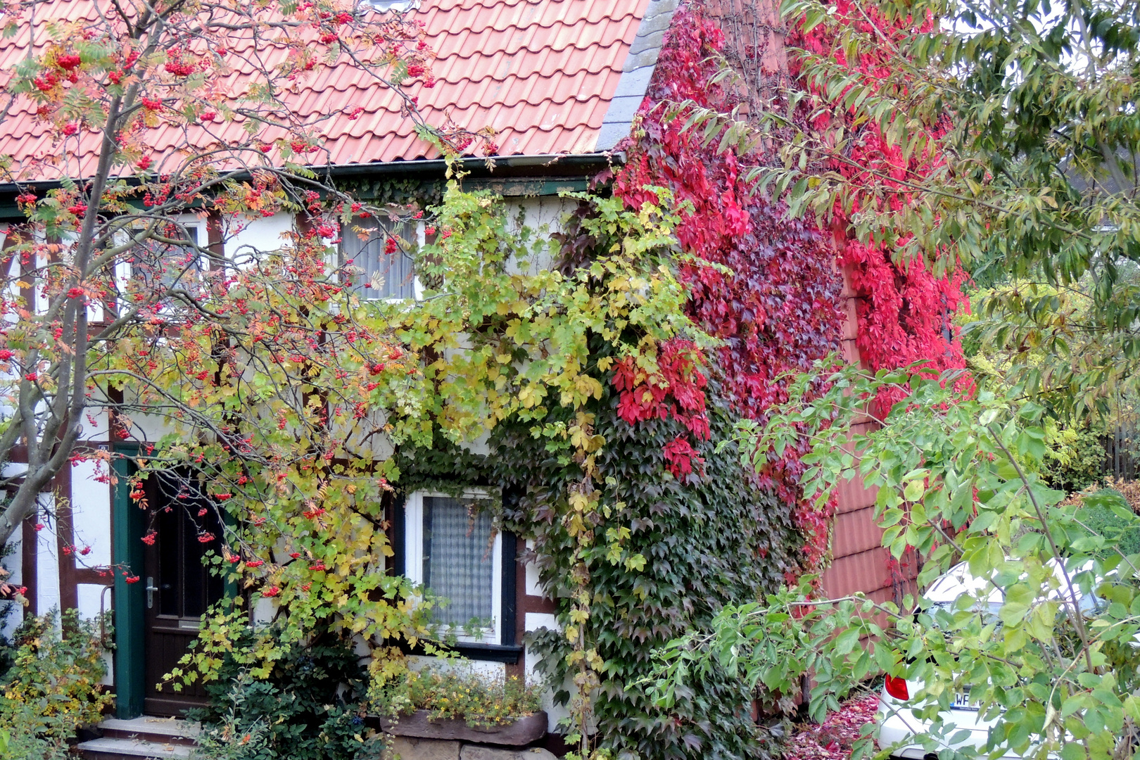 Der Herbst greift in den Tuschkasten