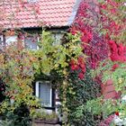 Der Herbst greift in den Tuschkasten