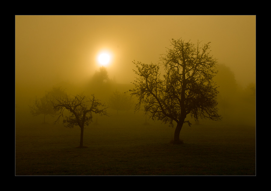 Der Herbst hält einzug ....