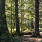 Der Herbst hält Einzug