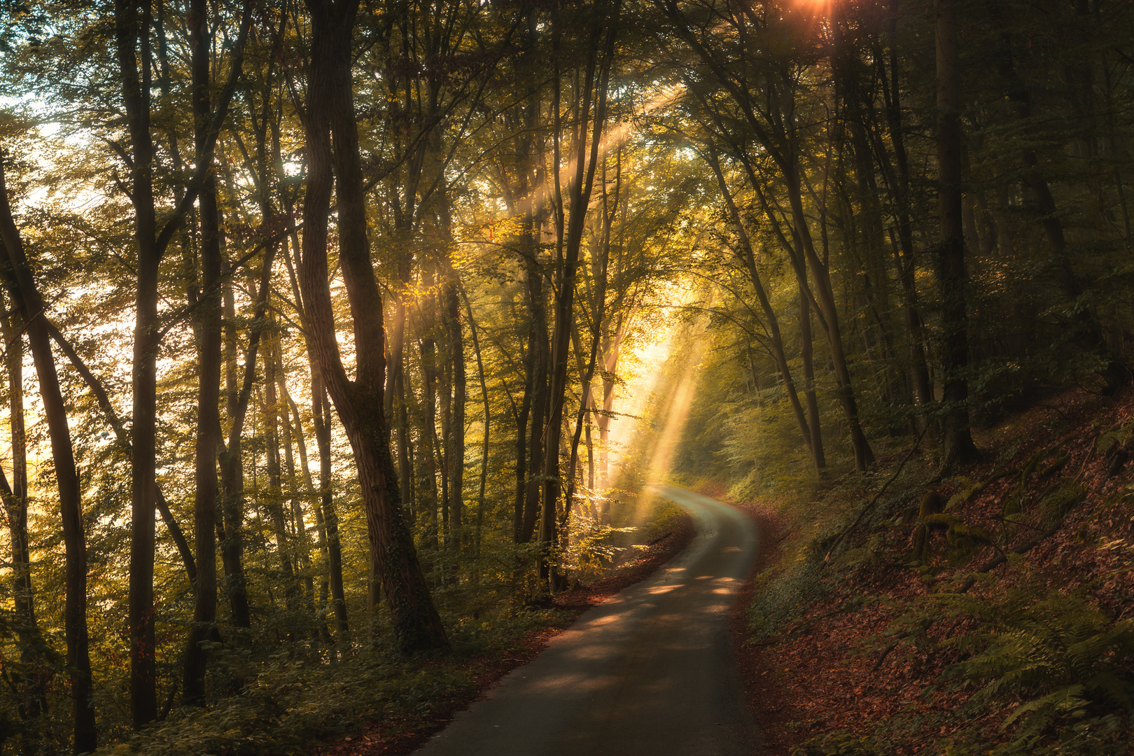 Der Herbst hält einzug