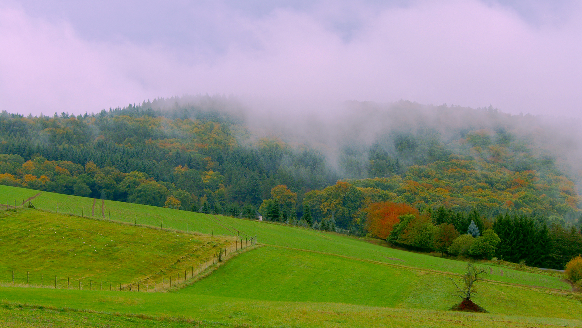 Der Herbst hält Einzug.......