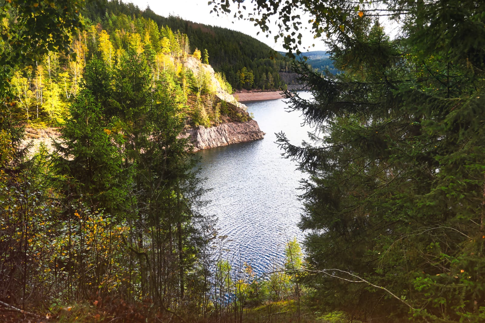 Der Herbst hält Einzug