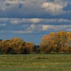 Der Herbst hält Einzug