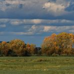 Der Herbst hält Einzug