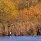 Der Herbst hält Einzug