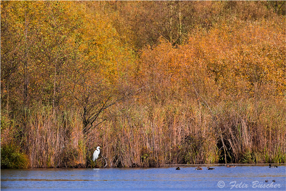 Der Herbst hält Einzug