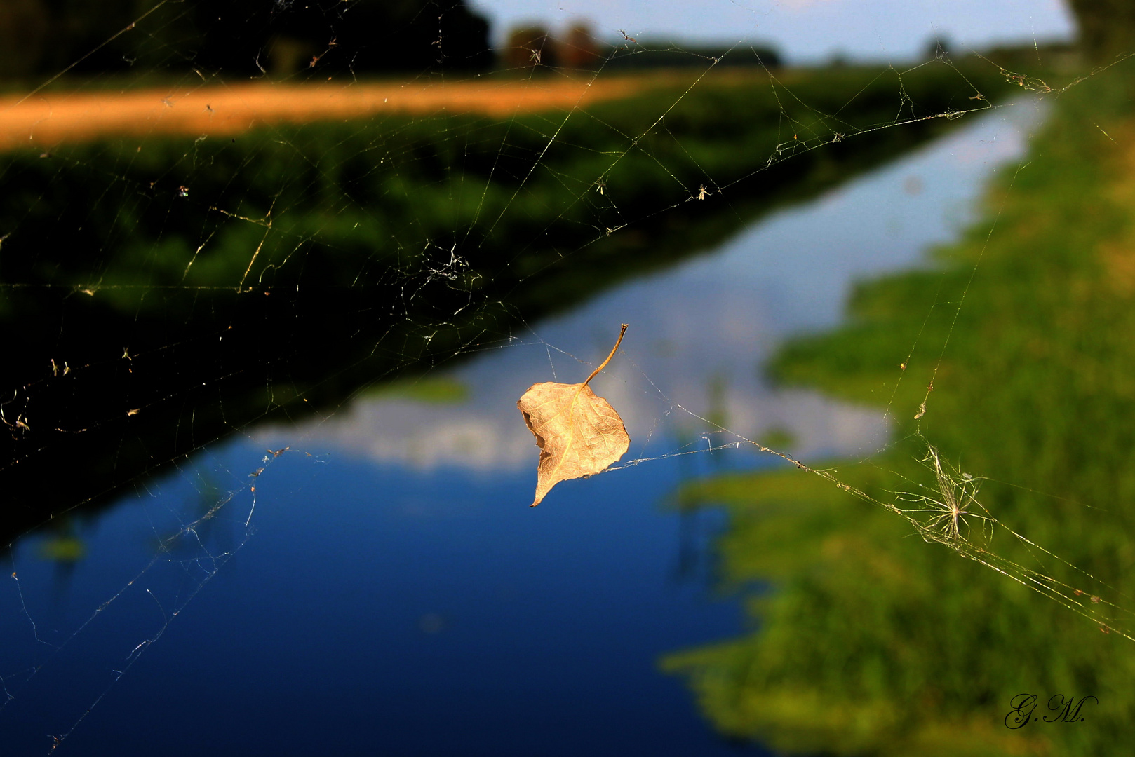 ...der Herbst hält Einzug