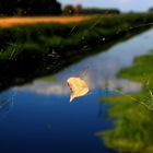 ...der Herbst hält Einzug