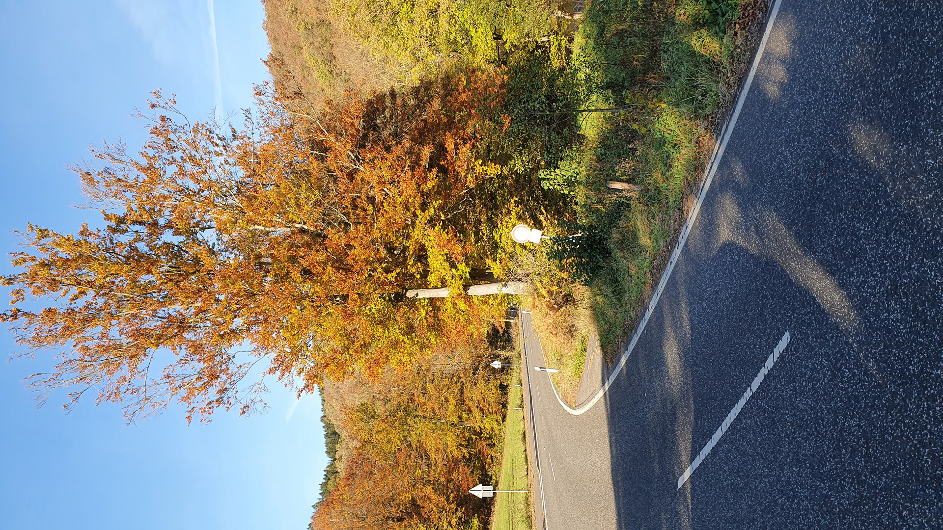 Der Herbst hält Einzug im Rurtal