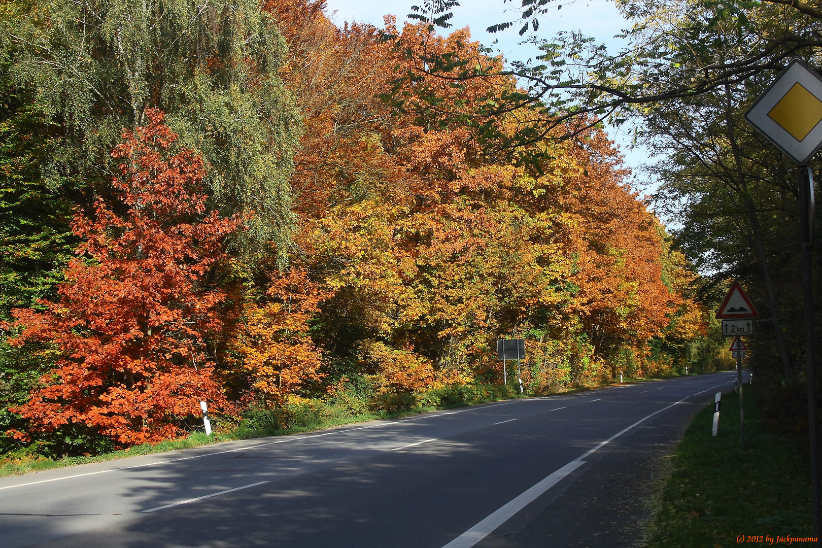 Der Herbst hält seinen Einzug ...