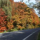 Der Herbst hält seinen Einzug ...