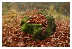 Der Herbst hat angerichtet