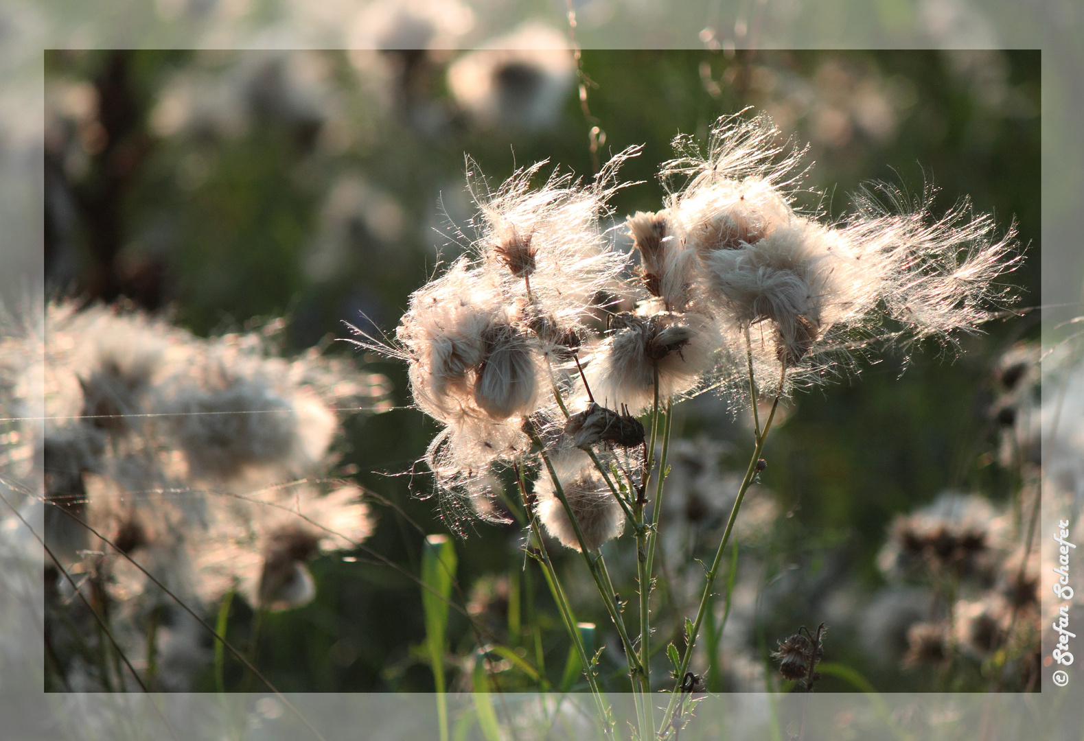 "... der Herbst hat begonnen"