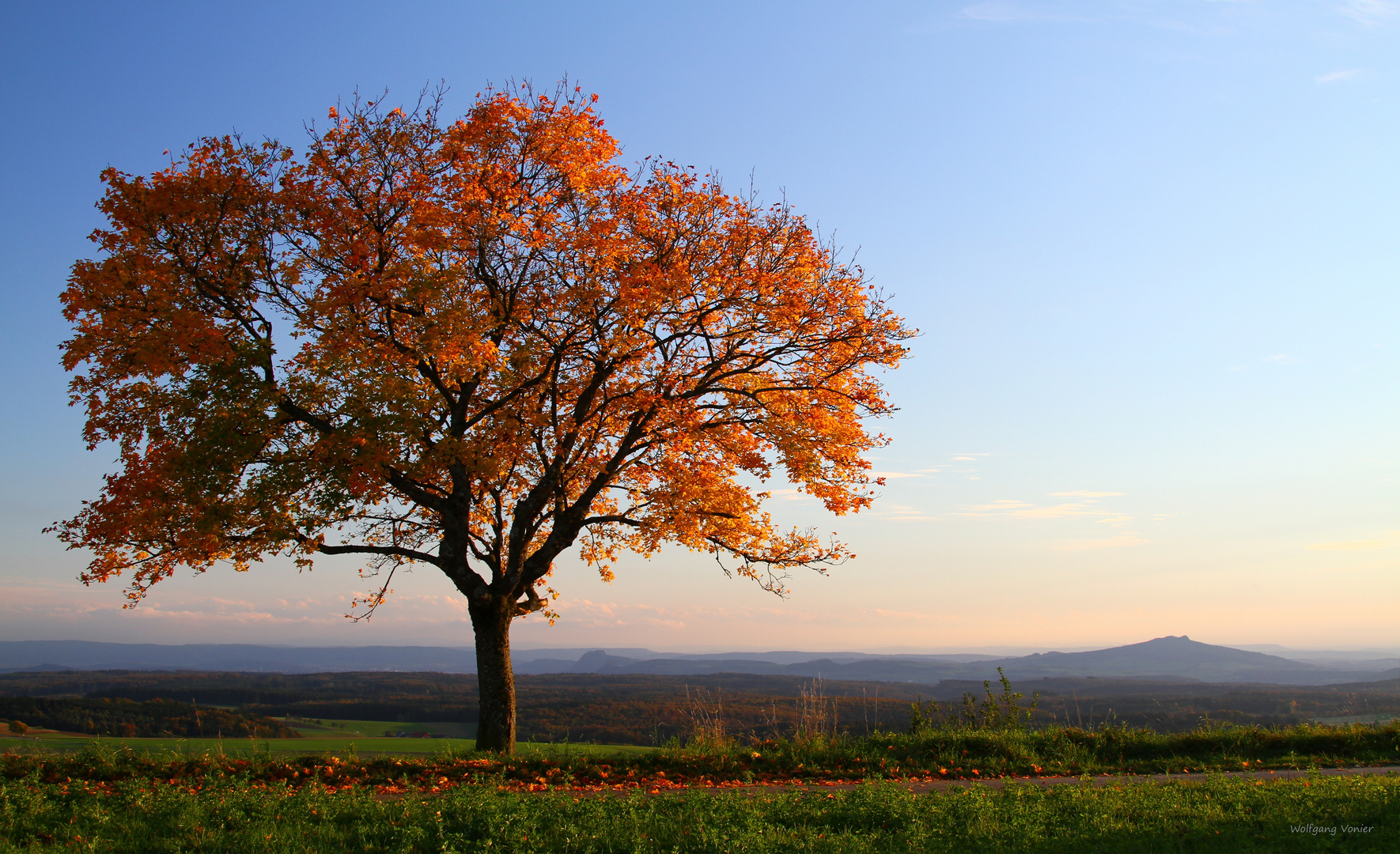 Der Herbst hat Einzug auf dem Wittho gehalten