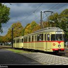 Der Herbst hat Einzug gehalten