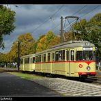 Der Herbst hat Einzug gehalten