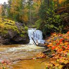 Der Herbst hat Einzug gehalten