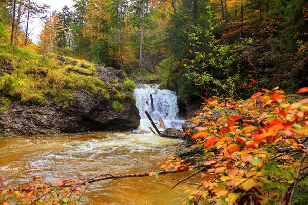 Der Herbst hat Einzug gehalten