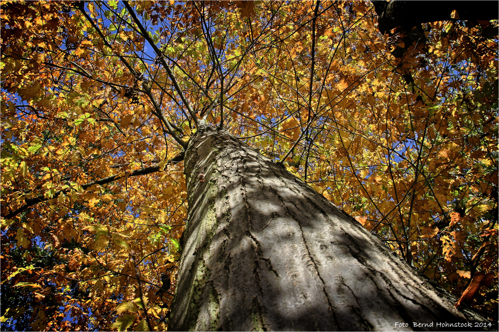 der Herbst hat Einzug gehalten ....