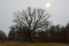 Der Herbst hat jedes Blatt verweht