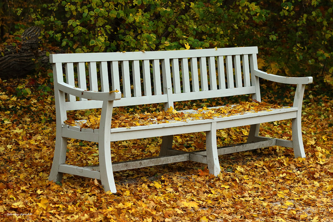 Der Herbst hat Platz genommen.