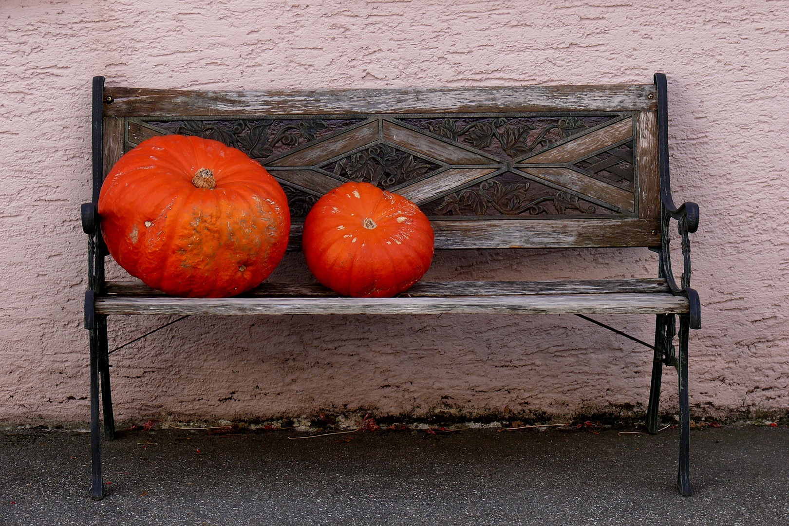 der Herbst hat Platz genommen