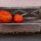 der Herbst hat Platz genommen