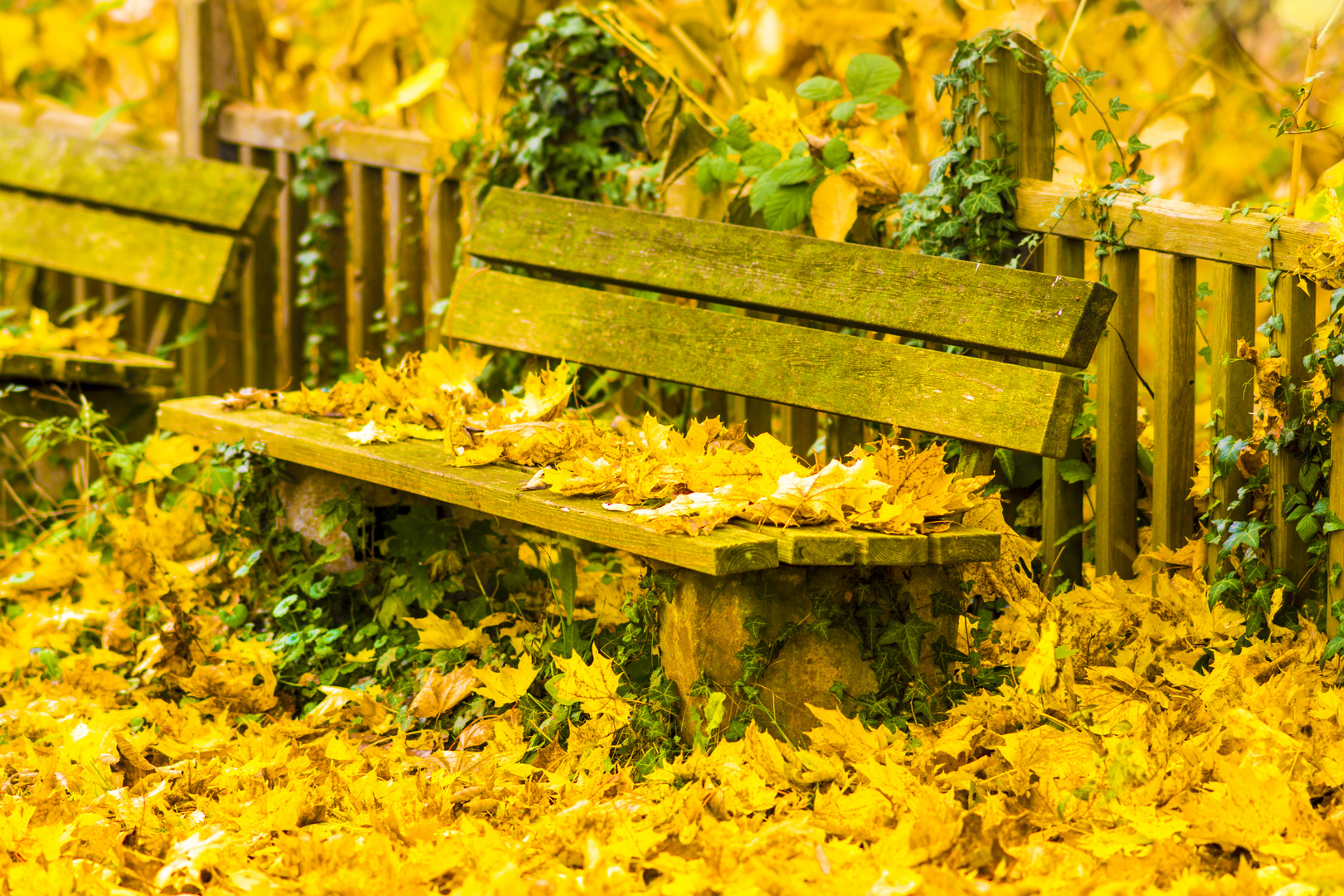 Der Herbst hat Platz genommen