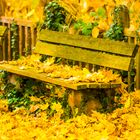 Der Herbst hat Platz genommen