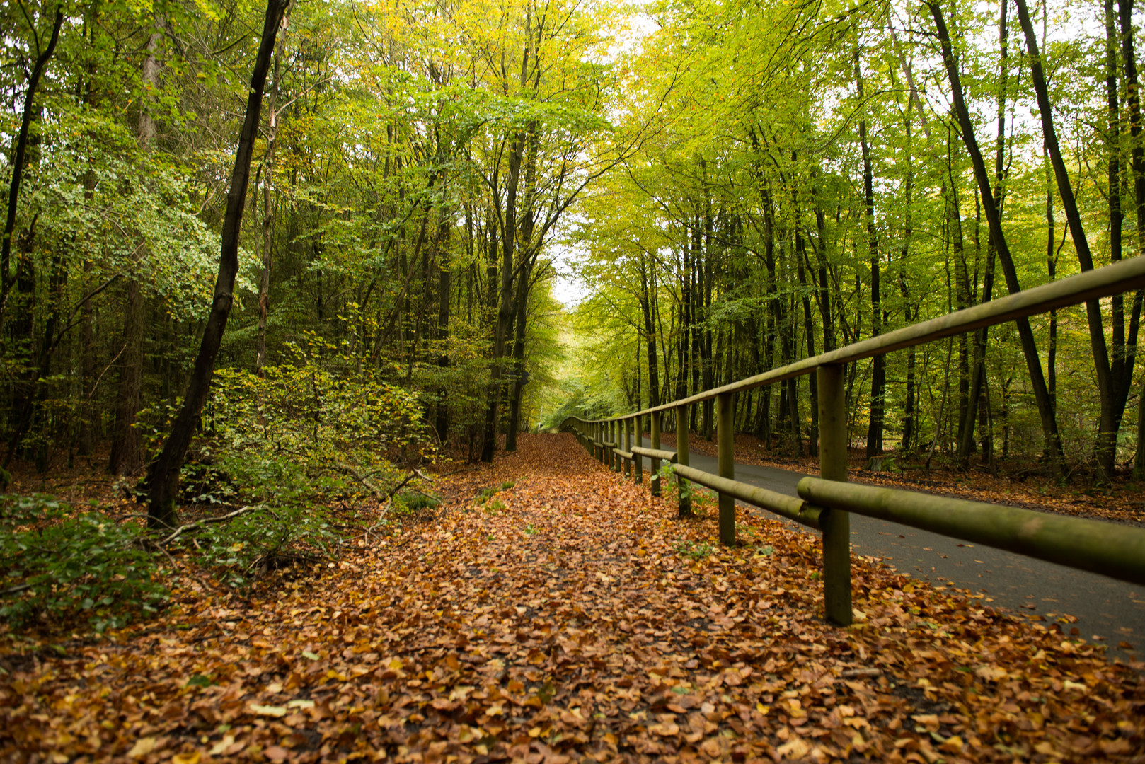 Der Herbst hat schöne Farben.