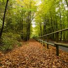 Der Herbst hat schöne Farben.