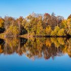 Der Herbst hat seine schöne Seiten. 