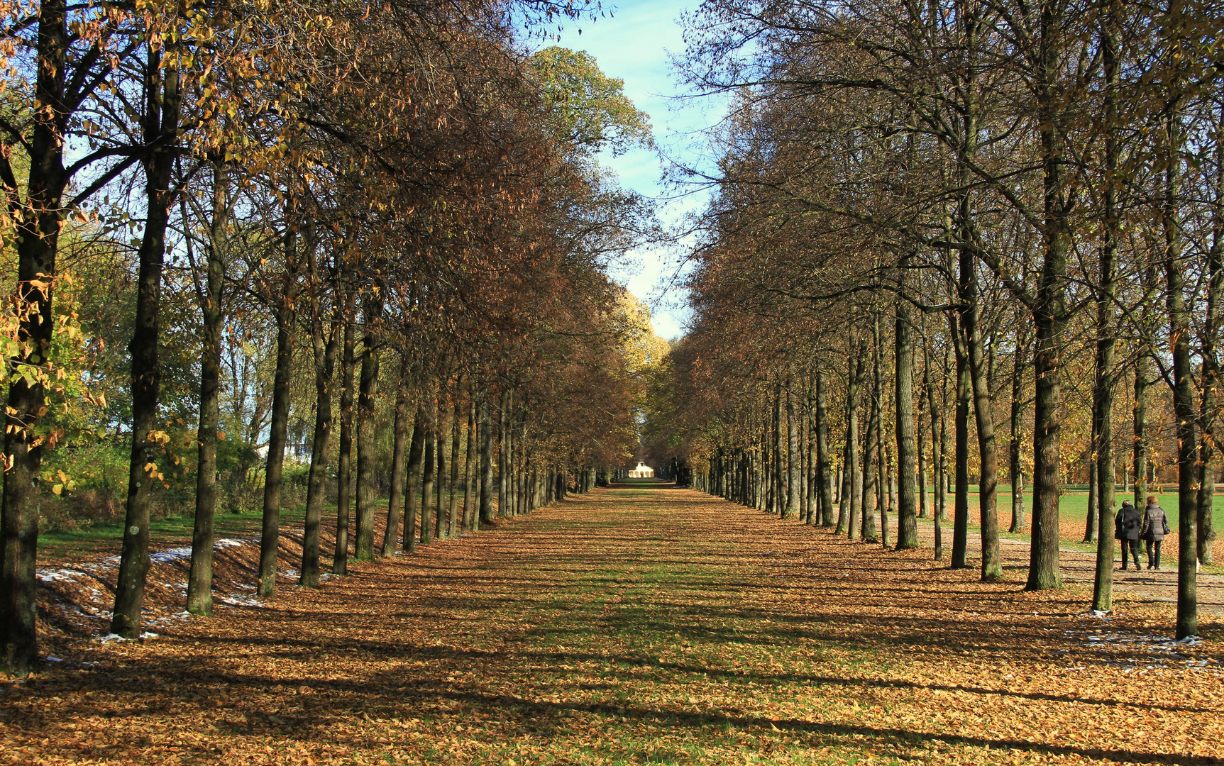 Der Herbst hat seinen Teppich ausgelegt....