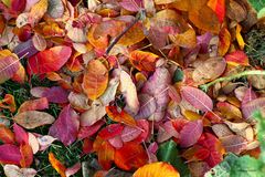 Der Herbst hat sich angekündigt